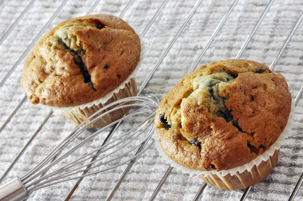 Due muffin ai mirtilli — Foto Stock