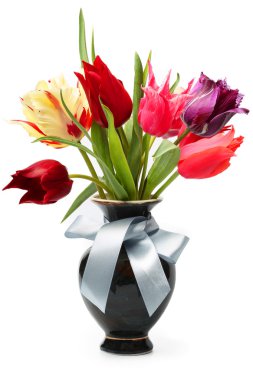 Tulips clipart