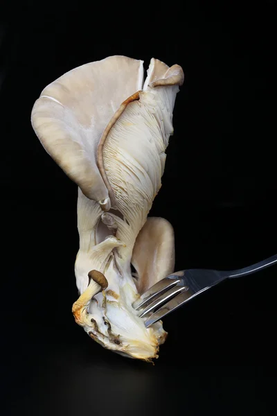 用叉子在黑色背景上的鲜蘑菇 — 图库照片
