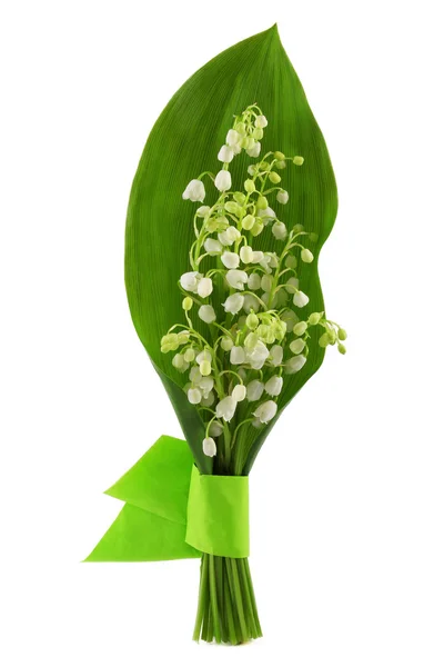 Flower of lily of the valley — Stock Photo, Image
