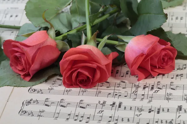 Verwelkt rose bloem op de Muziekpapier — Stockfoto