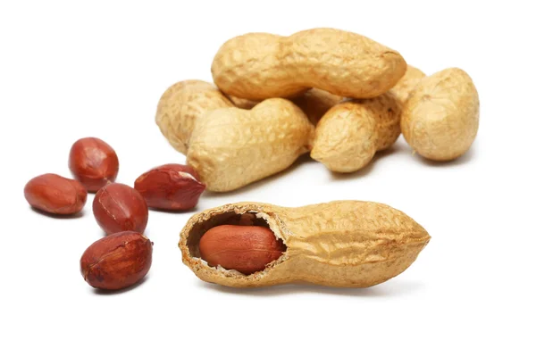 Nötter, jordnötter i skal på en vit bakgrund — Stockfoto