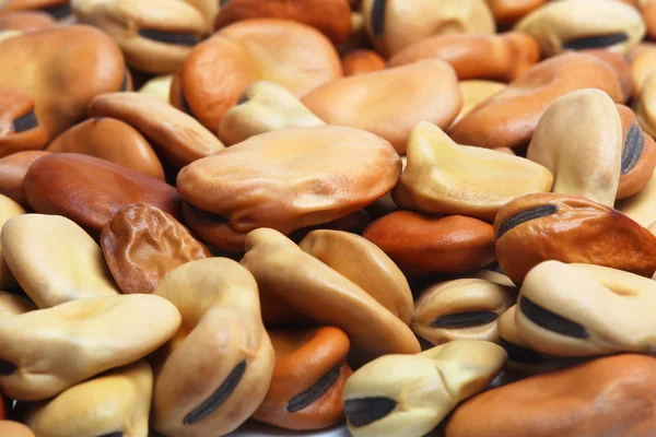 Lot Dried Beans Close Blur Edges — Stock Photo, Image