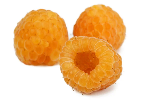 Owoce żółte maliny — Zdjęcie stockowe