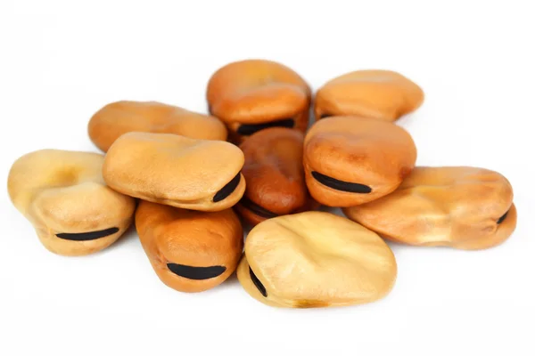 Sušené fazole — Stock fotografie