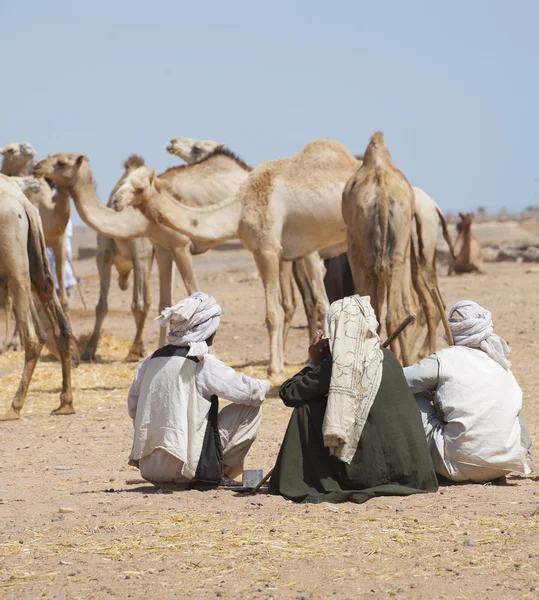 Bedoeïenen handelaren op een kameel markt — Stockfoto