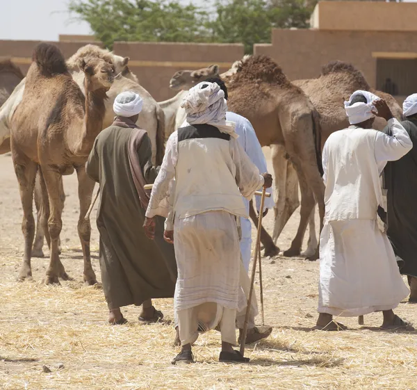 Comerciantes beduinos en un mercado de camellos — Foto de Stock