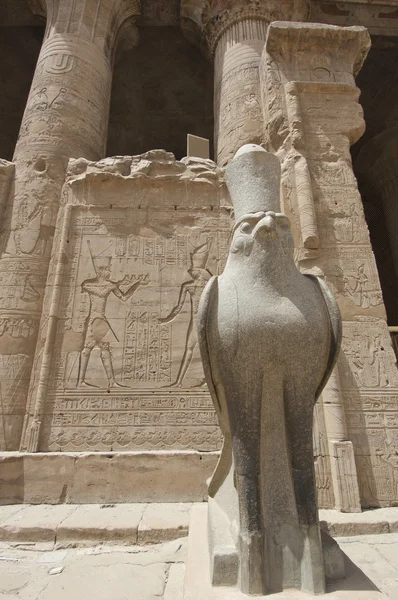 Statua del dio falco al Tempio di Edfu — Foto Stock