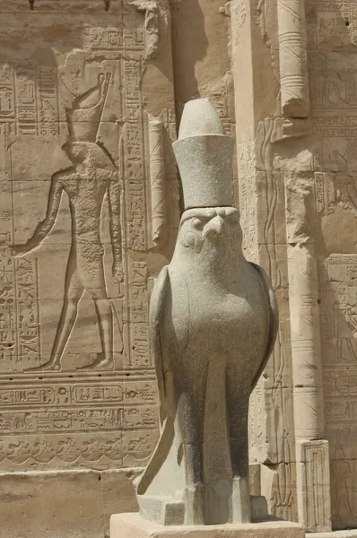 Статуя бога falcon в храмі Edfu — стокове фото