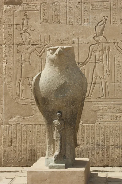 Staty av falcon Gud i templet i edfu — Stockfoto