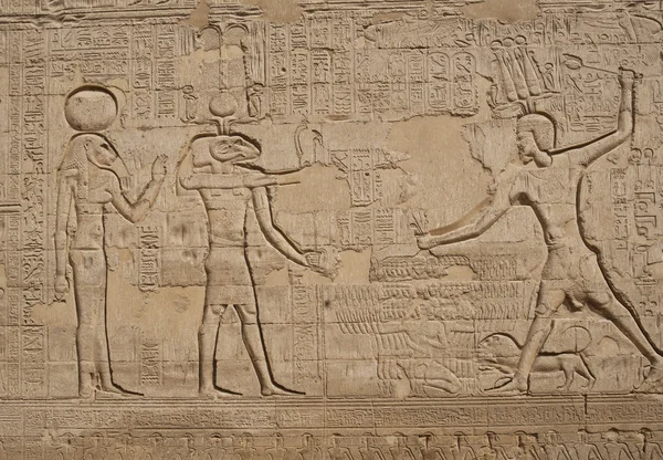 이집트 사원 벽에 상형 문자 조각 — 스톡 사진