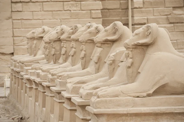 Ariete diretto sfingi al Tempio di Karnak — Foto Stock