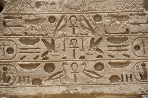 Egyptiska hieroglyfer på en tempel vägg — Stockfoto