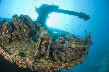 Gun on a the stern of a large shipwreck clipart