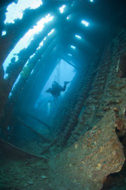 Divers exploring a large shipwreck clipart