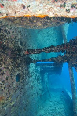 Companionway on a large shipwreck with reflection clipart