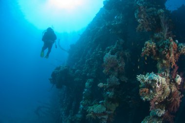 Divers exploring a large shipwreck clipart