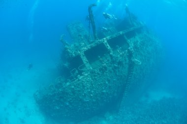 Divers exploring a large shipwreck clipart