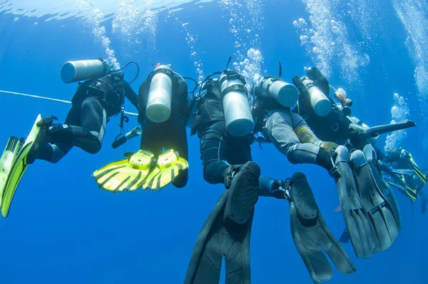 Divers on a rope underwater — Stock Photo, Image