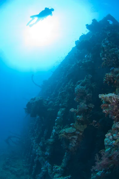 Divers exploring a large shipwreck — Stock Photo, Image