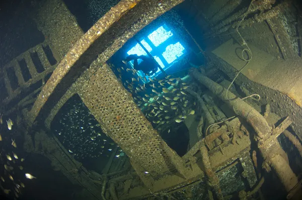 Mergulhador explorando dentro de um naufrágio — Fotografia de Stock