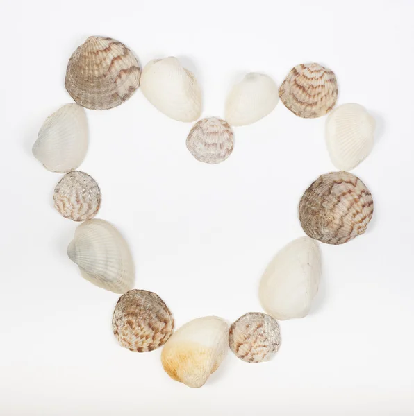 Beyaz deniz kabukları yapılan kalp şekli — Stok fotoğraf