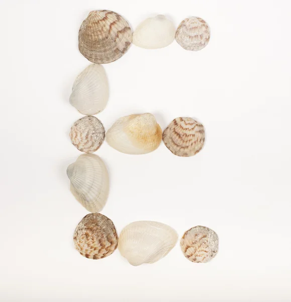 由海边的贝壳制成的字母表字母 — 图库照片