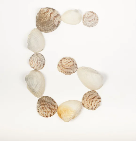 由海边的贝壳制成的字母表字母 — 图库照片