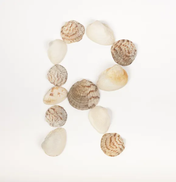 Ábécé levél készült tengeri kagyló — Stock Fotó