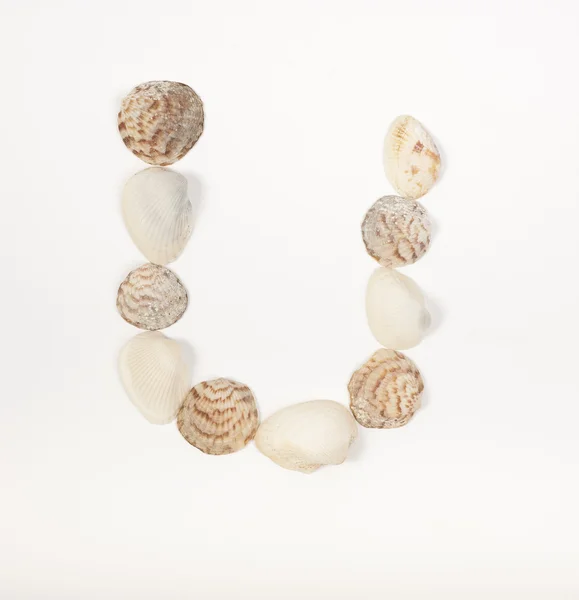 Letra del alfabeto hecha de conchas marinas — Foto de Stock