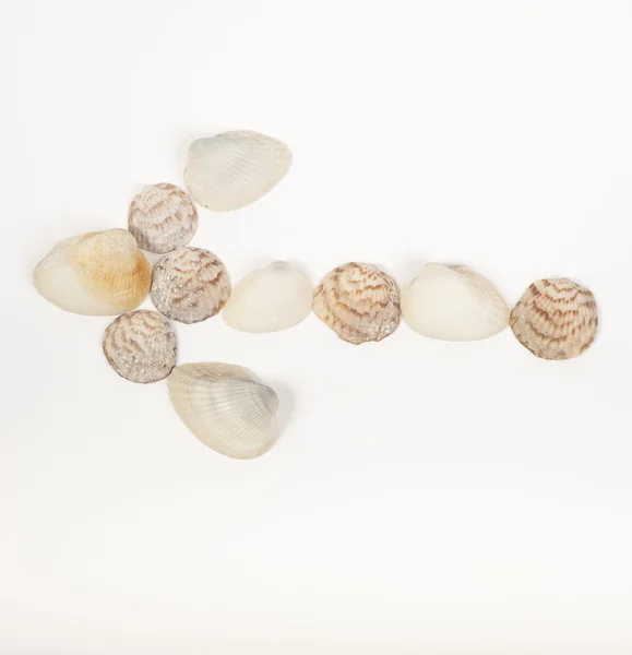 Pijlsymbool gemaakt van zeeschelpen — Stockfoto