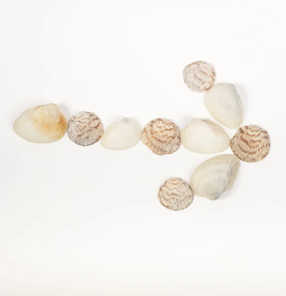 Símbolo de seta feito de conchas do mar — Fotografia de Stock