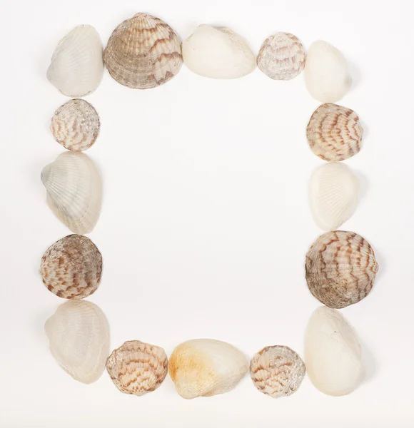 Marco cuadrado hecho de conchas de mar en blanco Fotos de stock libres de derechos