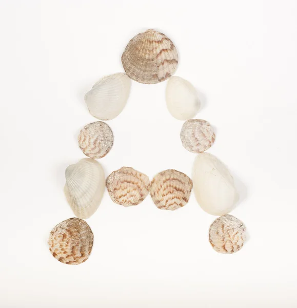 Letra del alfabeto hecha de conchas marinas Imagen de archivo