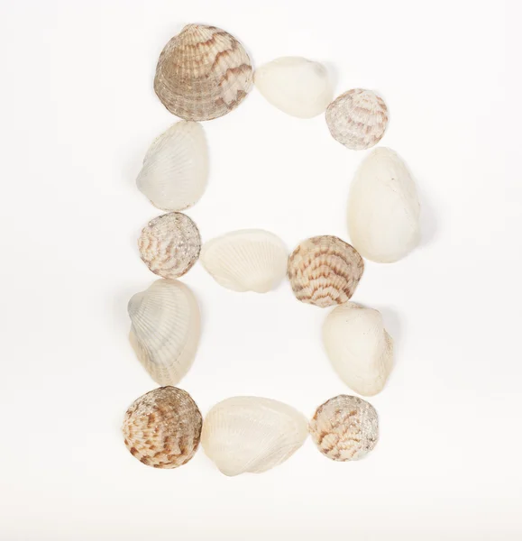 Letra del alfabeto hecha de conchas marinas Fotos De Stock