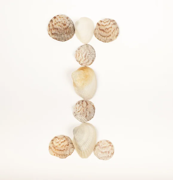 Alphabet letter made from sea shells Stock Picture