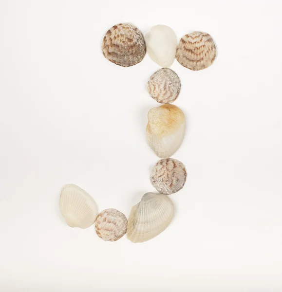 Letra del alfabeto hecha de conchas marinas Imágenes De Stock Sin Royalties Gratis