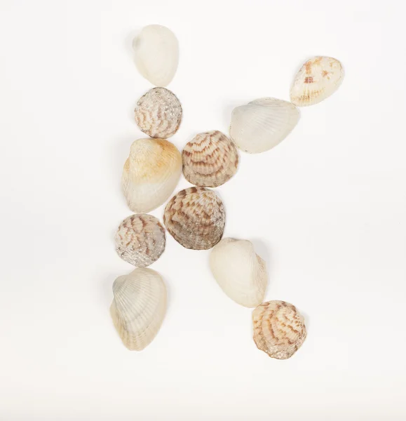 Letra del alfabeto hecha de conchas marinas Fotos de stock