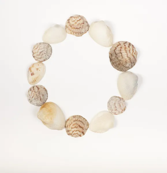 Alphabet letter made from sea shells Stock Photo