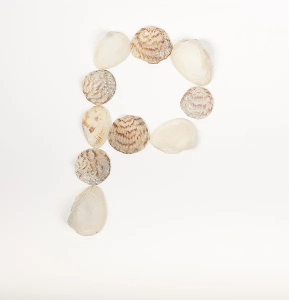 Alphabet letter made from sea shells Stock Photo