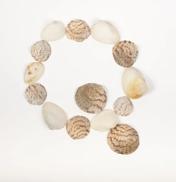 Alphabet letter made from sea shells Royalty Free Stock Photos