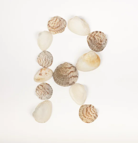 Letra del alfabeto hecha de conchas marinas Fotos de stock