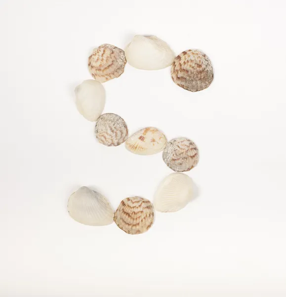 Letra del alfabeto hecha de conchas marinas Imágenes de stock libres de derechos
