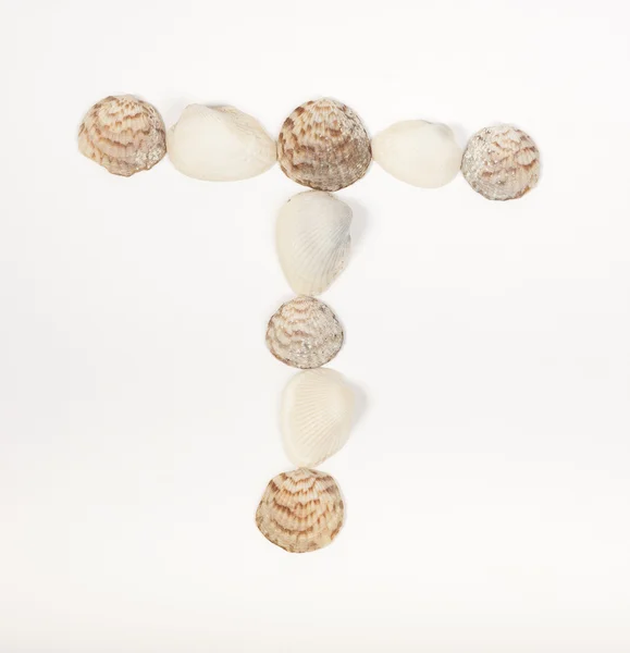 Letra del alfabeto hecha de conchas marinas Imagen De Stock