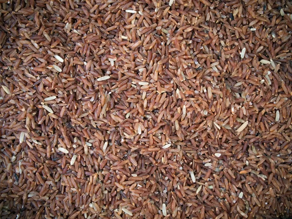 Kırmızı pirinç son derece besleyici — Stok fotoğraf