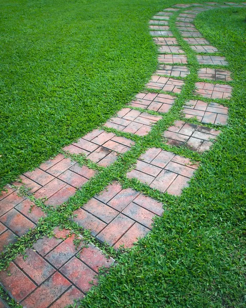 Ścieżki na powierzchni trawnika — Zdjęcie stockowe