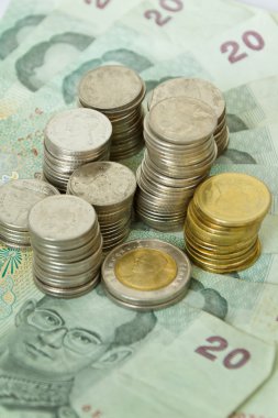 Tay yeşil banknot ve madeni paralar