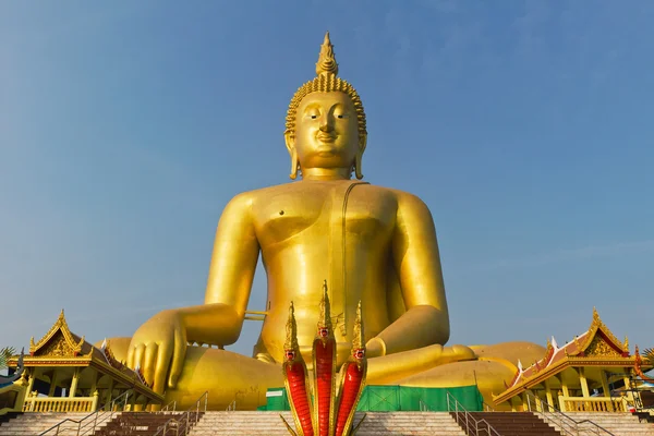 En büyük altın buddha — Stok fotoğraf