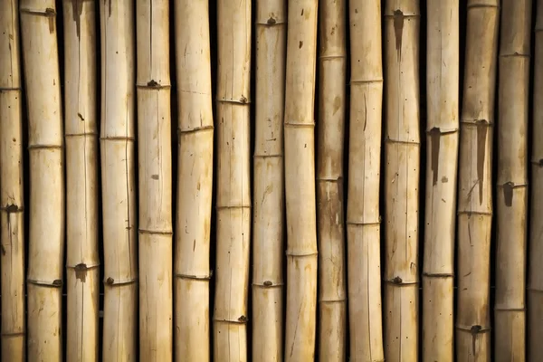 壁は竹製 — ストック写真