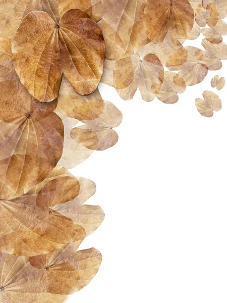 Warstwą suchych liści brązowe tło pionowe — Zdjęcie stockowe